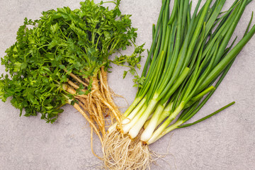 Fresh greens on a stone background