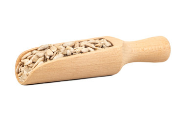 Sunflower seeds in scoop