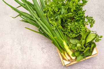 Fresh greens on a stone background