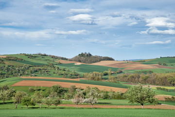 Fototapeta na wymiar Hügelige Landschaft mit dem Hegauvulkan Mägdeberg