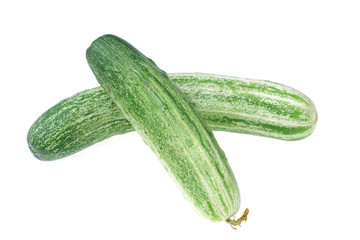  fresh cucumber isolated on the white background