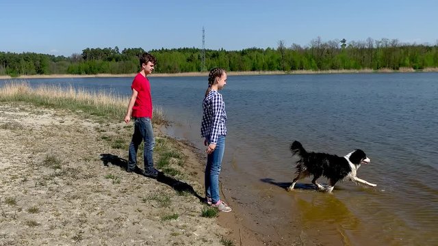 Happy teen girl and boy play with dog on beach of river, throws her stick. Dog pulls stick out of water. Children faving fun with young Australian Shepherd dog outdoor.
