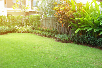 garden arrangement landscaping with green grass turf and small shrub plant in backyack of home decor - obrazy, fototapety, plakaty