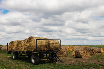 Hay rolls ready to transport in the fields of Serbia ("Vojvodina" region), village Melenci in Northern Serbia, 29. May 2019