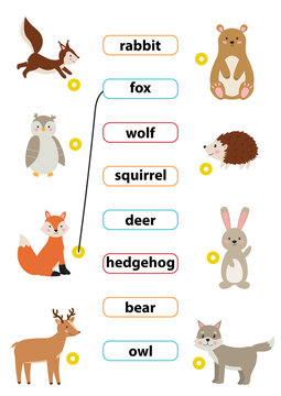 Cute cartoon vector forest animals. Match words with the correct pictures. Learn english words. For preschool kids activity worksheet.