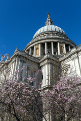 Fototapeta na wymiar St Paul's Cathedral London