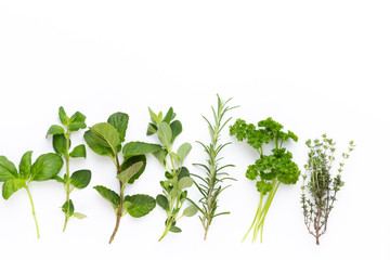 Herbal spice on a white background. Top view.