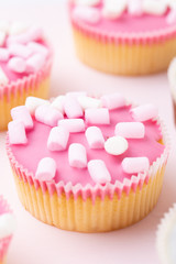 Colorful cupcakes on a pink background.