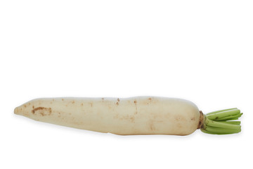 Fresh Japanese radish white background