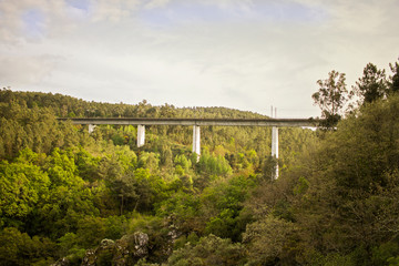 Fototapeta na wymiar Puente en el valle entre árboles y vegetación, rodeado de verde y el cielo con nubes