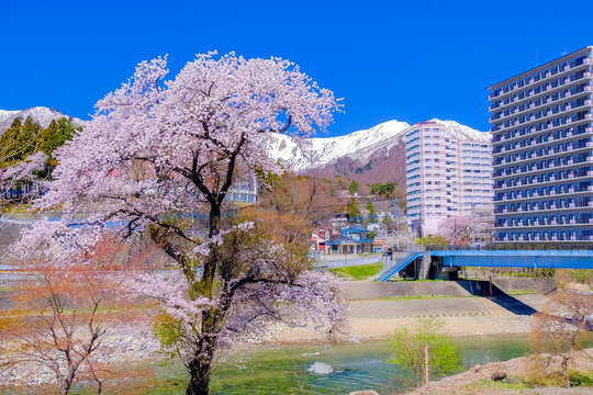 47 Best 水上温泉 Images Stock Photos Vectors Adobe Stock