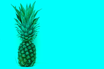 pineapple with green leaves on a green background. Concept - vacation in the tropics