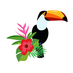 Beautiful toucan cartoon vector illustration