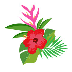Exotic summer hibiscus flower vector illustration