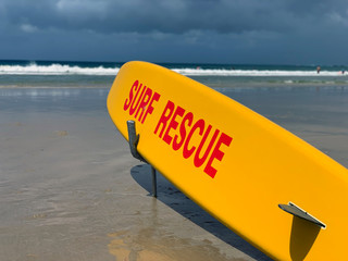 Plante de surfe des services de secours