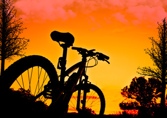 Fototapeta na wymiar bicicleta de montaña en el paisaje