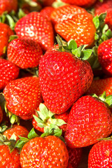 Freshly harvested strawberries, directly above