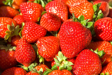 Freshly harvested strawberries, directly above