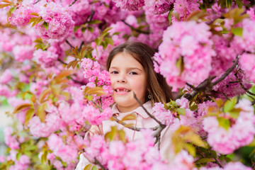 Kid on pink flowers sakura tree background. Child enjoy life without allergy. Sniffing flowers. Allergy remedy. Pollen allergy concept. Get rid of seasonal allergy. Girl enjoying floral aroma