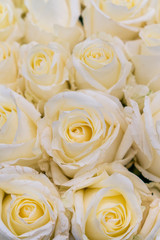 Fresh white roses background. A huge bouquet of flowers. The best gift for women