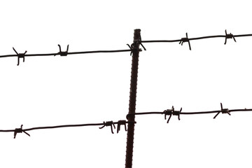 Barbed wire isolated on a white background. Fence or home garden protection..