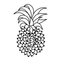 exotic pineapple fruit icon