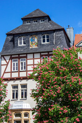 Fototapeta na wymiar Fachwerkhaus in Jena und blühende Kastanie