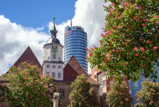 Rathaus von Jena umgeben von Kastanienblüten 
