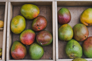 Fresh mango fruit in wooden box. Mangoes in a box.