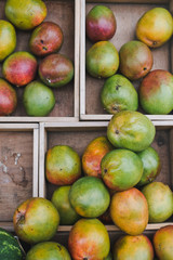 Fresh mango fruit in wooden box. Mangoes in a box.