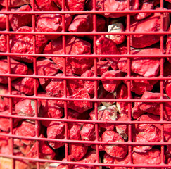 Stones painted with red paint in a metal grid as a background