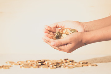 coins in hand, saving, Business grow up concept