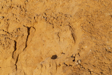 Construction sand as an abstract background