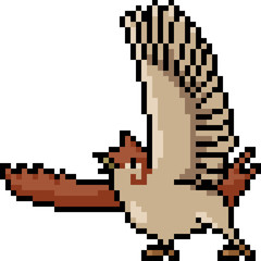 Fototapeta premium vector pixel art sparrow action