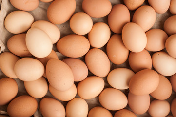 Many brown eggs in box. Chicken farm. Place for text. Preparation for Easter.