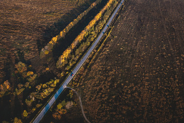 Road at the landscape from height of bird's flight from air balloon