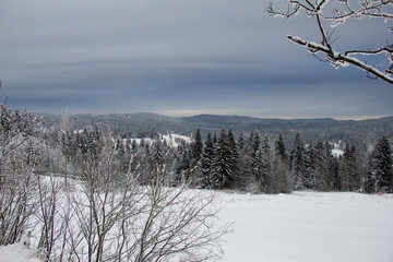 Winter. Bavarian Forest National Park.