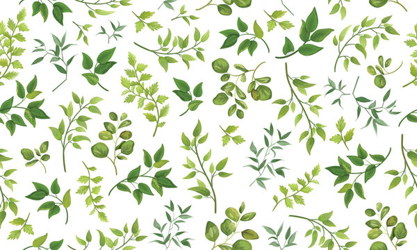 Beautiful pattern seamless of different tree, natural branches, green leaves, herbs, hand drawn watercolor style fresh rustic eco. Vector decorative cute elegant illustration isolated white background