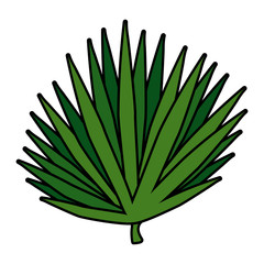 exotic leaf plant icon