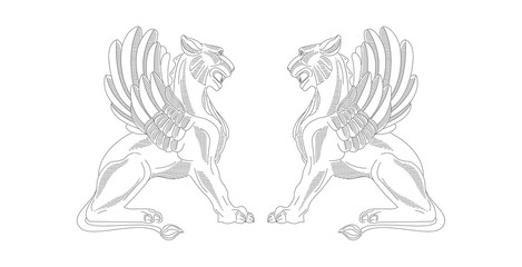 Griffin linear illustration, two creatures face to face