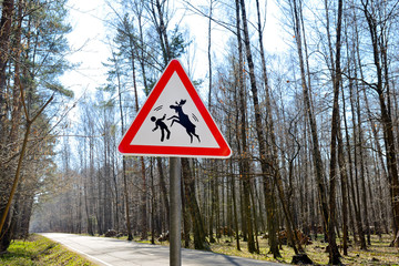 Sign about of wild moose on a forest road.