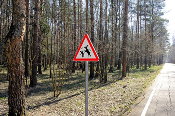 Sign about of wild moose on a forest road.
