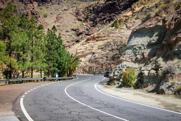 summer road and free space for your decoration 