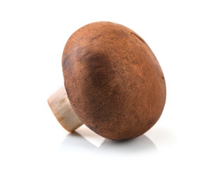 Fresh champignon mushrooms isolated on white background