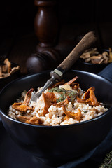 Kaszotto- polish risotto from barley groats with mushrooms