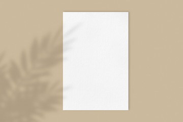 Blank white poster mockup on light pastel brown background with moody flower shadow, front view a4 paper sheet with copy space, close-up real picture 