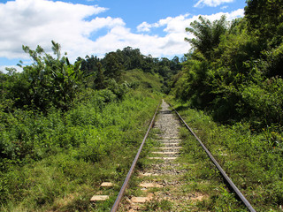Obraz premium Nine Arch Railway tracks, Ella - Sri Lanka 