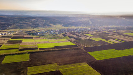 Bird Eye View of the Fields and Agricultural Parcel