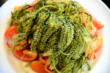 Close-up natural Seaweed with Tomato in the white plate