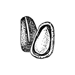 Pine nuts isolated on white background